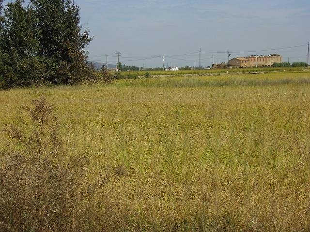 PARCELA EN VENTA EN DON BENITO (LAS ARENAS)