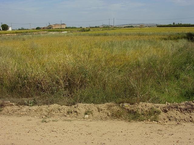 PARCELA EN VENTA EN DON BENITO (LAS ARENAS)