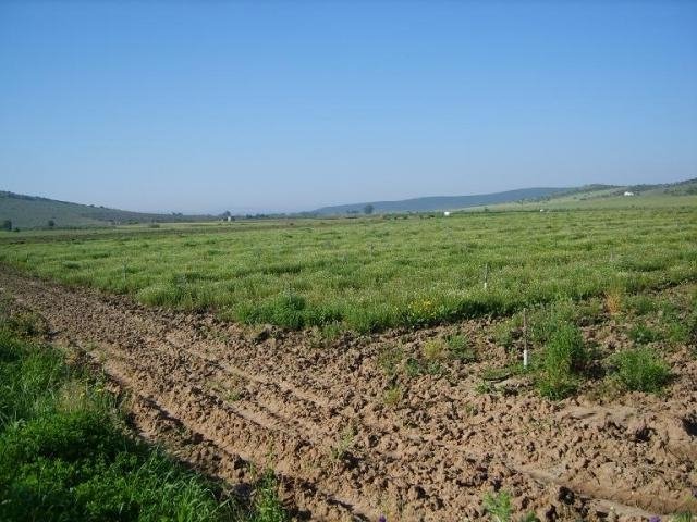 FINCA EN VENTA EN DON BENITO (MEDELLÍN)