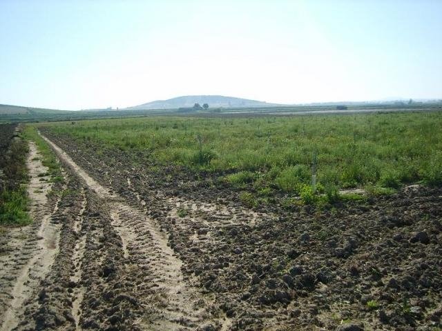 FINCA EN VENTA EN DON BENITO (MEDELLÍN)